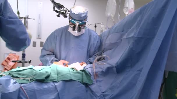 Хирург делает начальный надрез — стоковое видео
