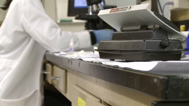 Sebuah pandangan dari pekerjaan khas di dalam laboratorium medis — Stok Video