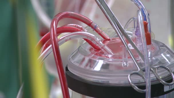 Fluxos sanguíneos através de tubos — Vídeo de Stock