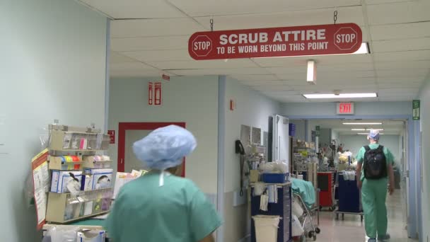 Personnel médical dans le couloir de l'hôpital — Video