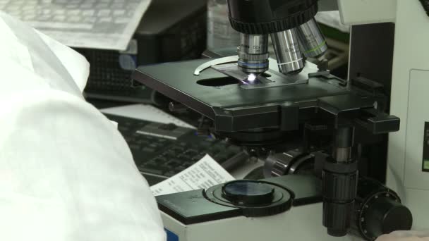 A view of typical work inside a medical laboratory — Stock Video