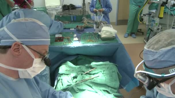 Хирургическая команда работает в операционной — стоковое видео