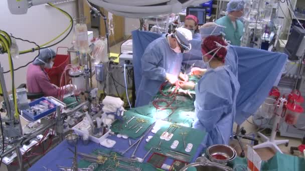 Équipe chirurgicale pendant la chirurgie cardiaque — Video