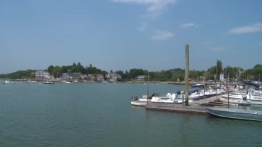 Linden Shore (5 / 9)