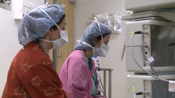 Персонал следит за аппаратурой искусственного кровообращения — стоковое видео