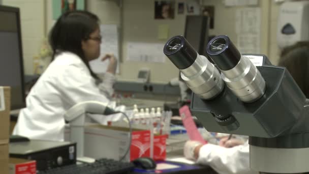 A view of typical work inside a medical laboratory — Stock Video