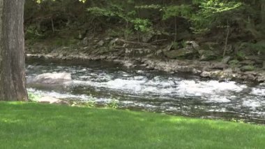 Görünümü alanının (2 / 2 bölümünü ve akış)