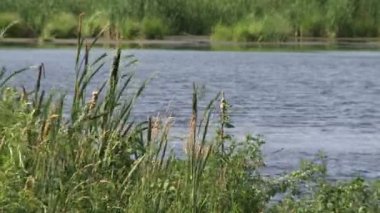 Gözlerden uzak Nehri (3 4)