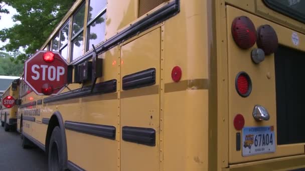 Σχολικό λεωφορείο στοπ — Αρχείο Βίντεο