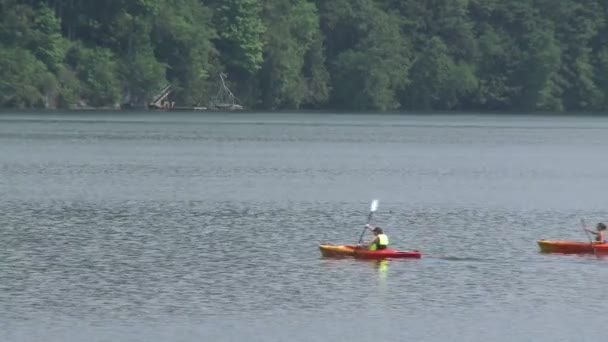 Les gens qui apprécient les kayaks à la plage — Video