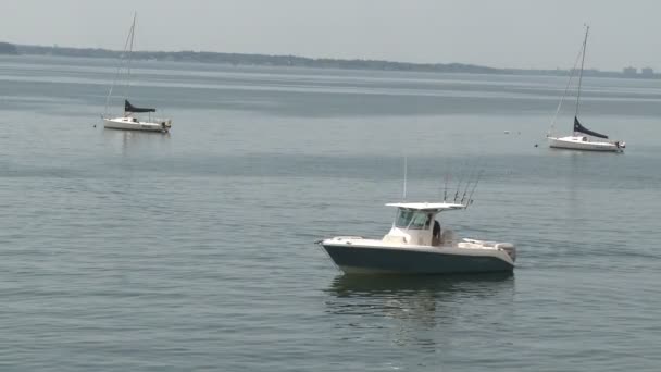 Małe łodzie zacumowane wzdłuż brzegu — Wideo stockowe