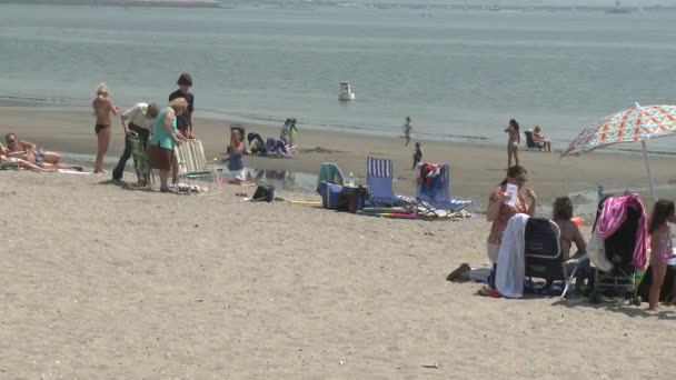 Mensen openen opvouwbare stoelen op het strand. — Stockvideo