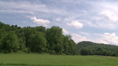 Ağaçlar mavi gökyüzü ve bulutlar tarafından taşıma kümesi