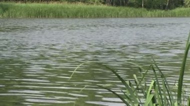 Çimenli nehir Nehri seyir