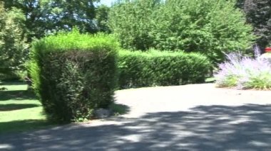 Keyifli bir gün parkta (14 16)