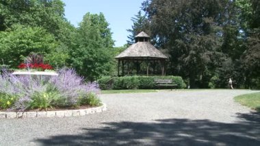 Keyifli bir gün parkta (8 16)