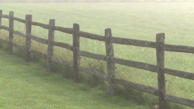 Sisli bir çayır bir split demiryolu çitlere üzerinde seyir