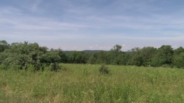 Mirando sobre un campo con árboles en el fondo (1 de 2 ) — Vídeos de Stock