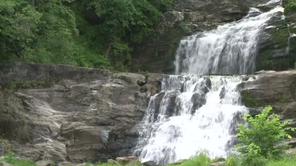Une cascade dans les bois