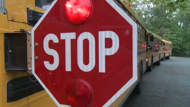 Sinal de paragem de autocarro com luzes de perigo acesas. (1 de 5 ) — Vídeo de Stock