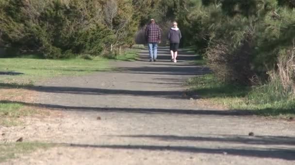 一对夫妇走在徒步旅行的道路上 (2 的2) — 图库视频影像