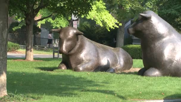 Dois monumentos de touro que colocam na grama — Vídeo de Stock