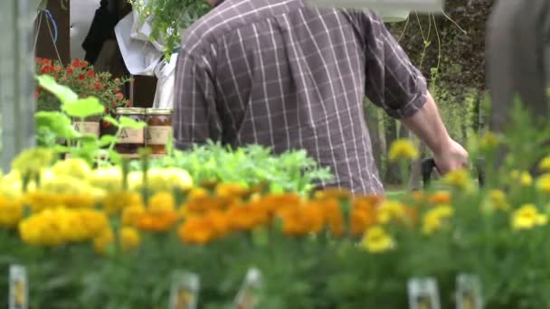 Oranžové a žluté květy na displeji venkovní trh — Stock video