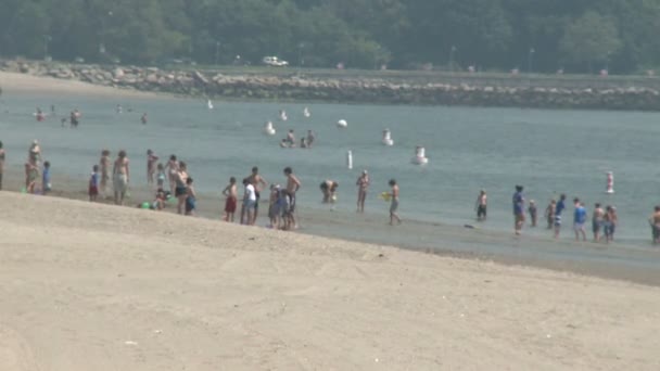 Gente en la playa. — Vídeo de stock