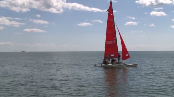 Küçük yelkenli tekne geliyor — Stok video