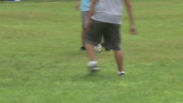 Garçons jouant au football dans un parc lors d'un pique-nique — Video