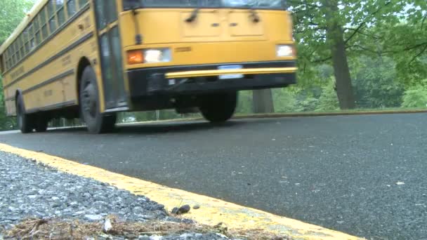 Автобусы покидают школу. (2 of 2) ) — стоковое видео