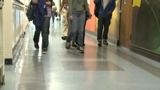 Estudiantes de secundaria caminando por el pasillo por casilleros (1 de 7 ) — Vídeo de stock