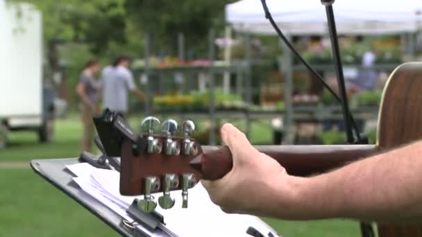 Entertainment in een openlucht markt (1 van 3) — Stockvideo