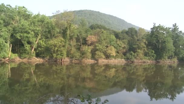 Fák tükrözi a víz mentén a folyó töltésén (2 / 2) — Stock videók