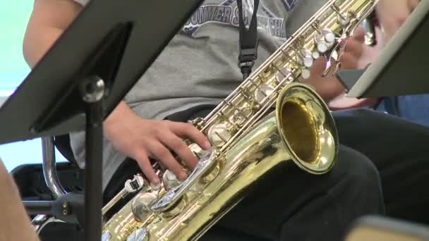Studentów, gra na instrumentach w klasie muzyki (1 z 2) — Wideo stockowe