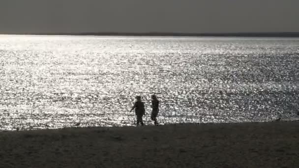黄昏时分, 人们沿着海滩漫步 (1 的2) — 图库视频影像