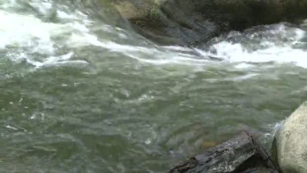 Floden kör över stenar — Stockvideo