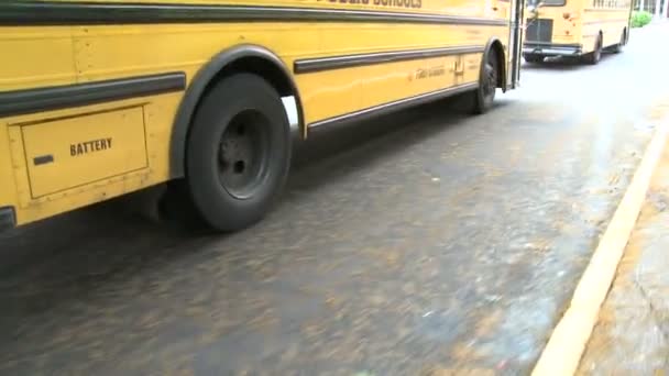 Odjeżdżają autobusy szkolne (3 z 3) — Wideo stockowe