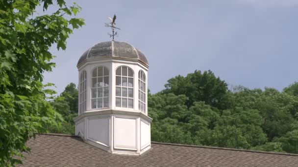 Cupola con sopra una banderuola meteo — Video Stock