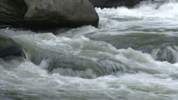 运行过岩石的河 — 图库视频影像