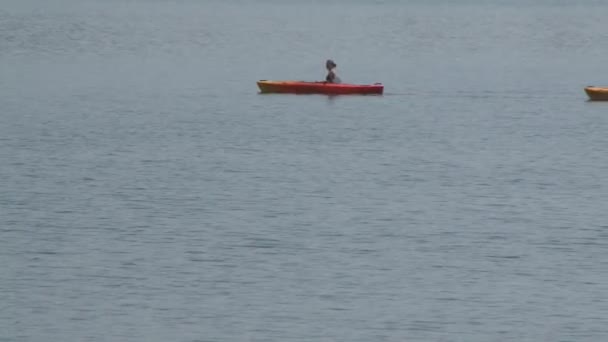 Les gens qui apprécient les kayaks à la plage — Video