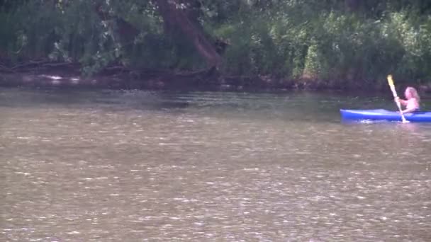 Kayaker sur une partie isolée d'une rivière (2 de 4 ) — Video