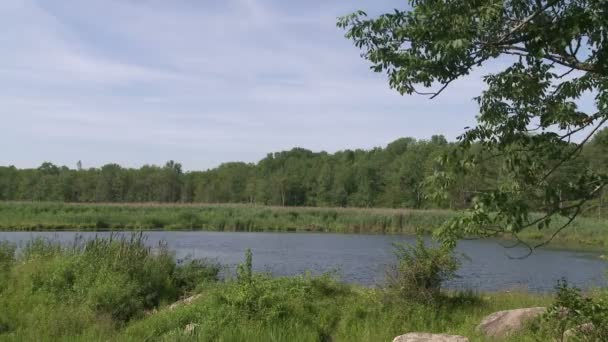 Rivière isolée (1 de 4 )