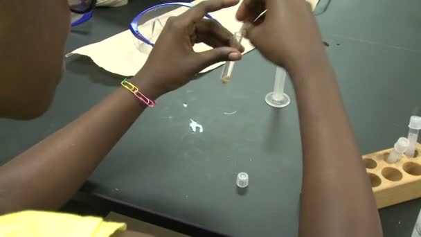 Students working on lab project (6 of 10 ) — Stock Video