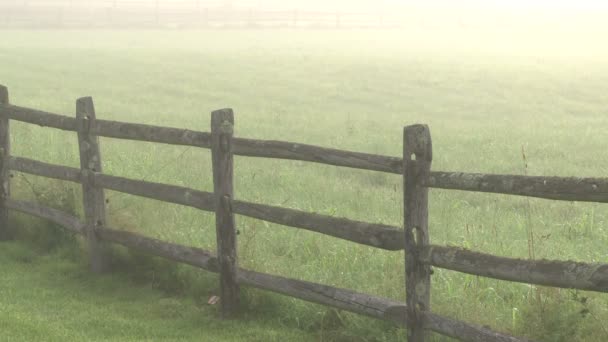 Mirando por encima de una valla de ferrocarril dividida a un prado nublado — Vídeo de stock