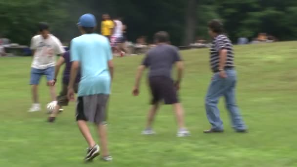 Rapazes a jogar futebol num parque num piquenique — Vídeo de Stock