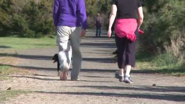 Pár šel po turistická stezka, každý se svým psem na vodítku (část 1 ze 2) — Stock video