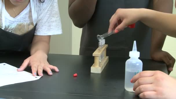 Students working on lab project (3 de 10 ) — Video