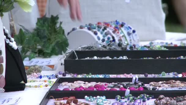 Shoppers at a Craft Fair. (1 of 4) — Stock Video