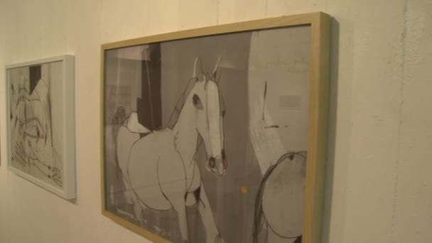 Unieke items in de kunstgalerie (4 van 4) — Stockvideo